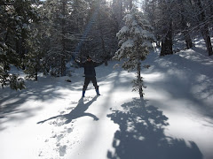 Virgin Snow -- On the Trail Near San Gorgonio, CA