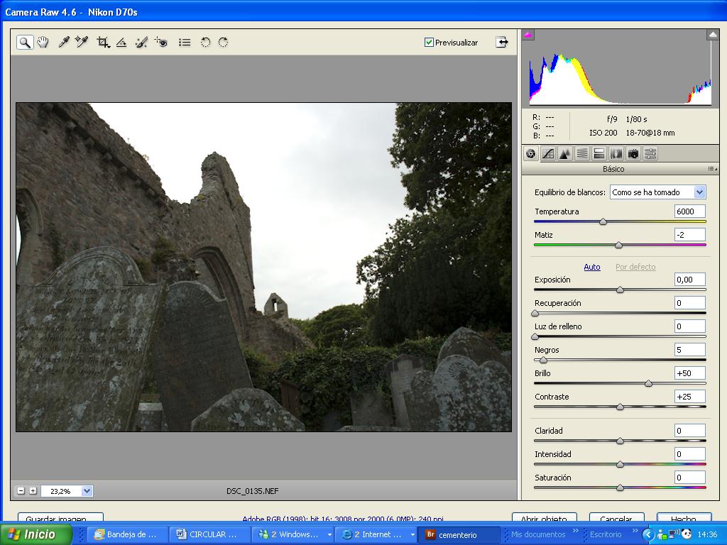 [cementerio+original+ACR.JPG]