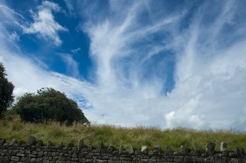 [2008-08-03-cielo-web.jpg]