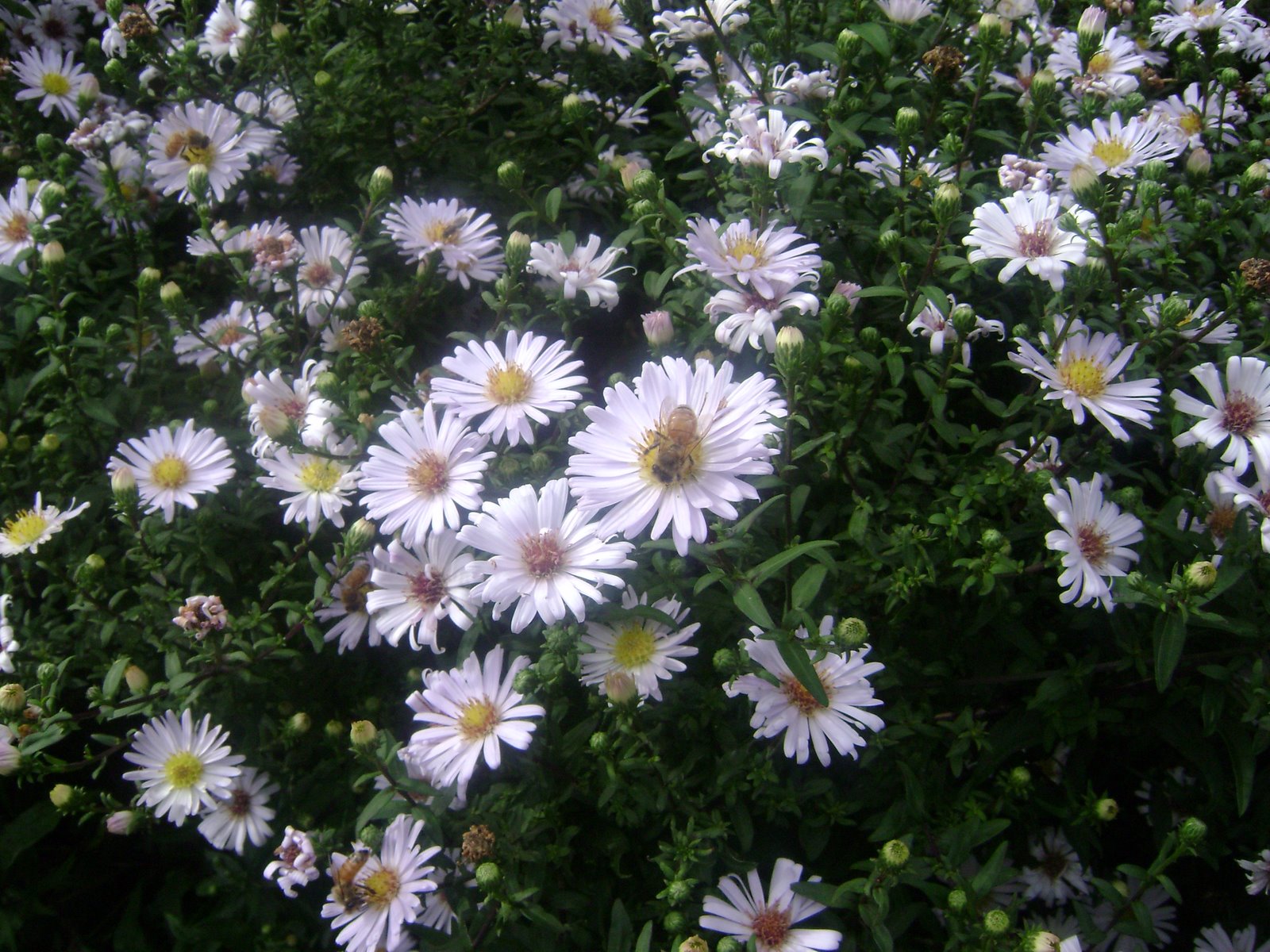 [DSC05978.JPG]