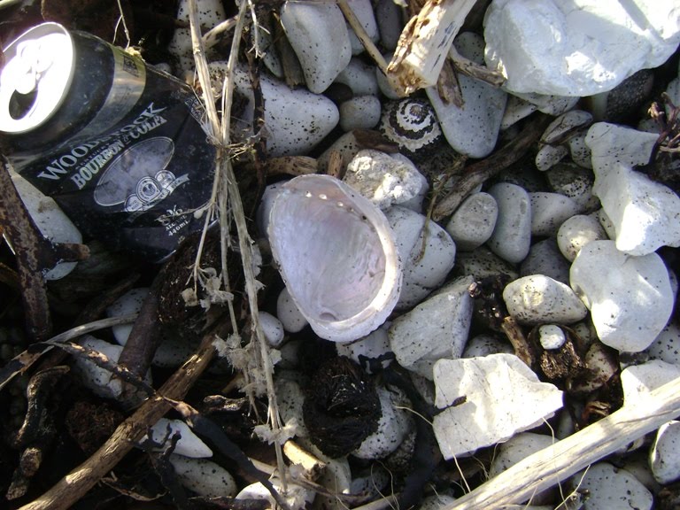 [Kaikoura9.jpg]