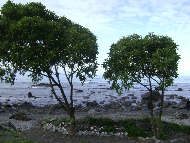 [Kaikoura5.jpg]