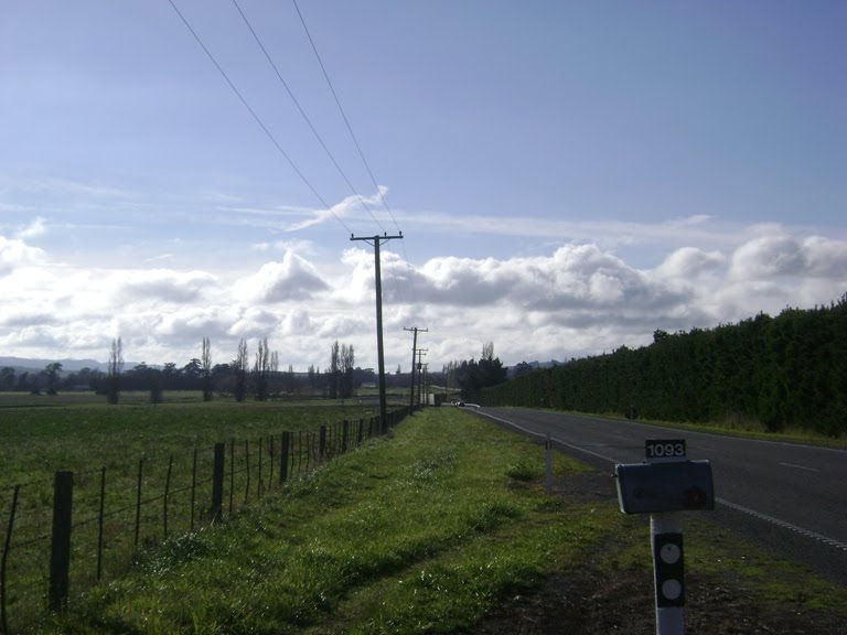 [Kaikoura1.jpg]