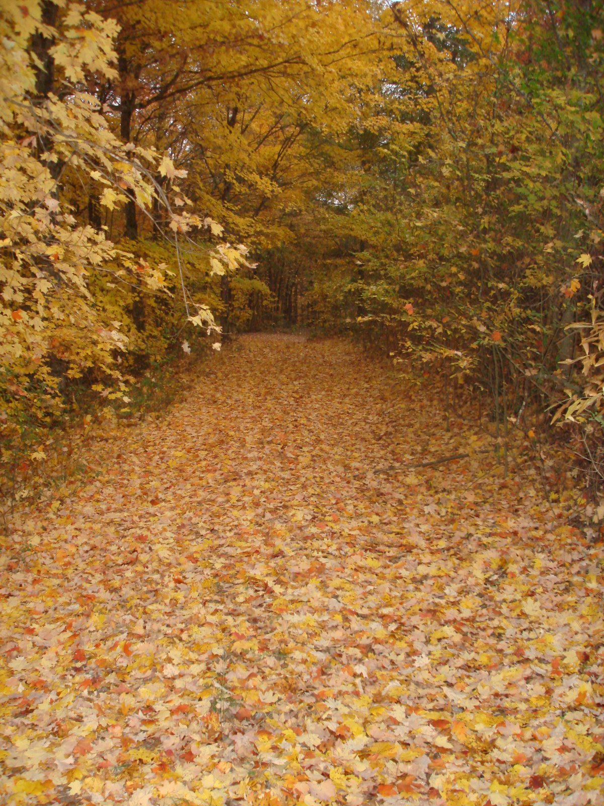 [DSC09026.JPG]