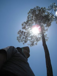 Eclipse en la cañada