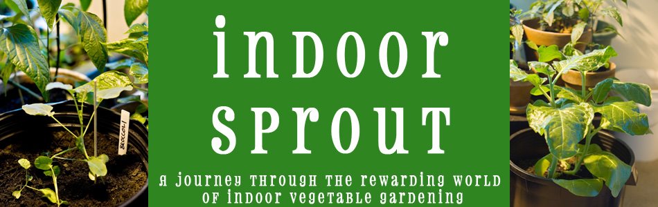 Indoor Sprout