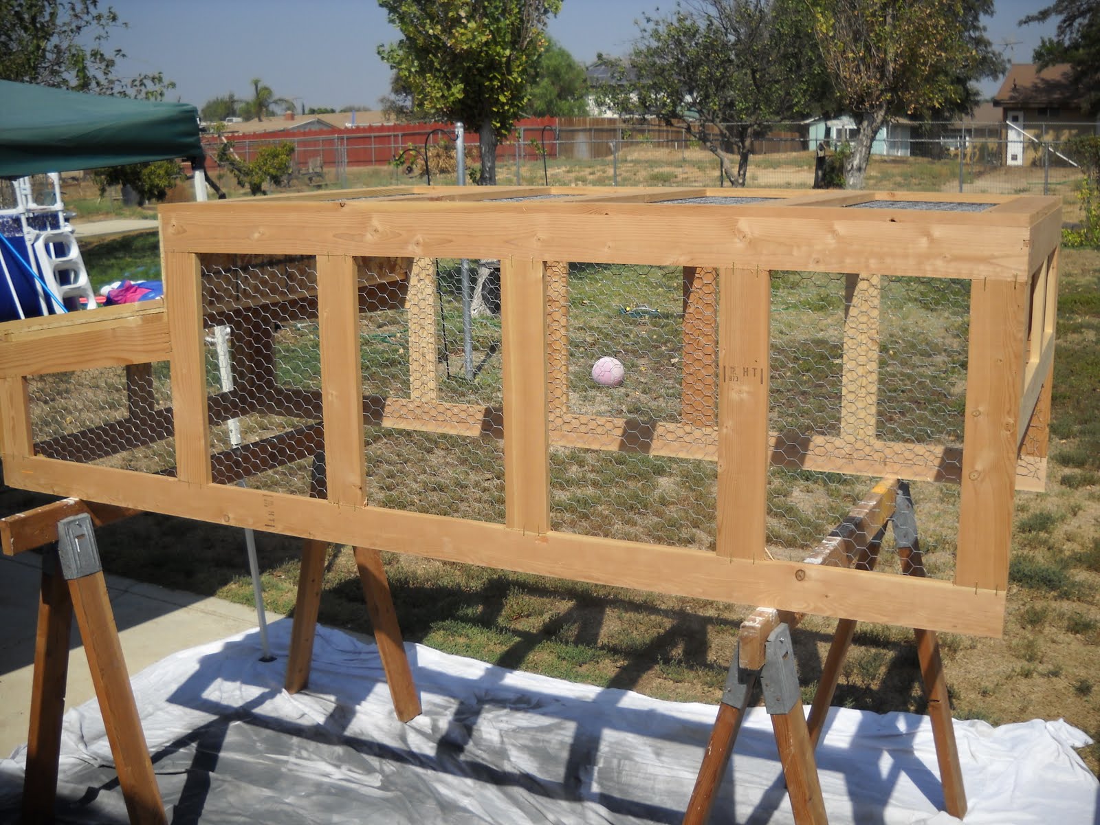 [birdfeeder+006.JPG]