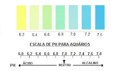 Medição do Ph da água Ph+escala