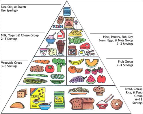 food pyramid outline