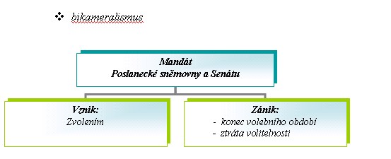 [mart12.jpg]