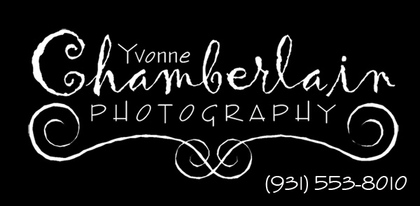 Yvonne Chamberlain Photography  931.553.8010
