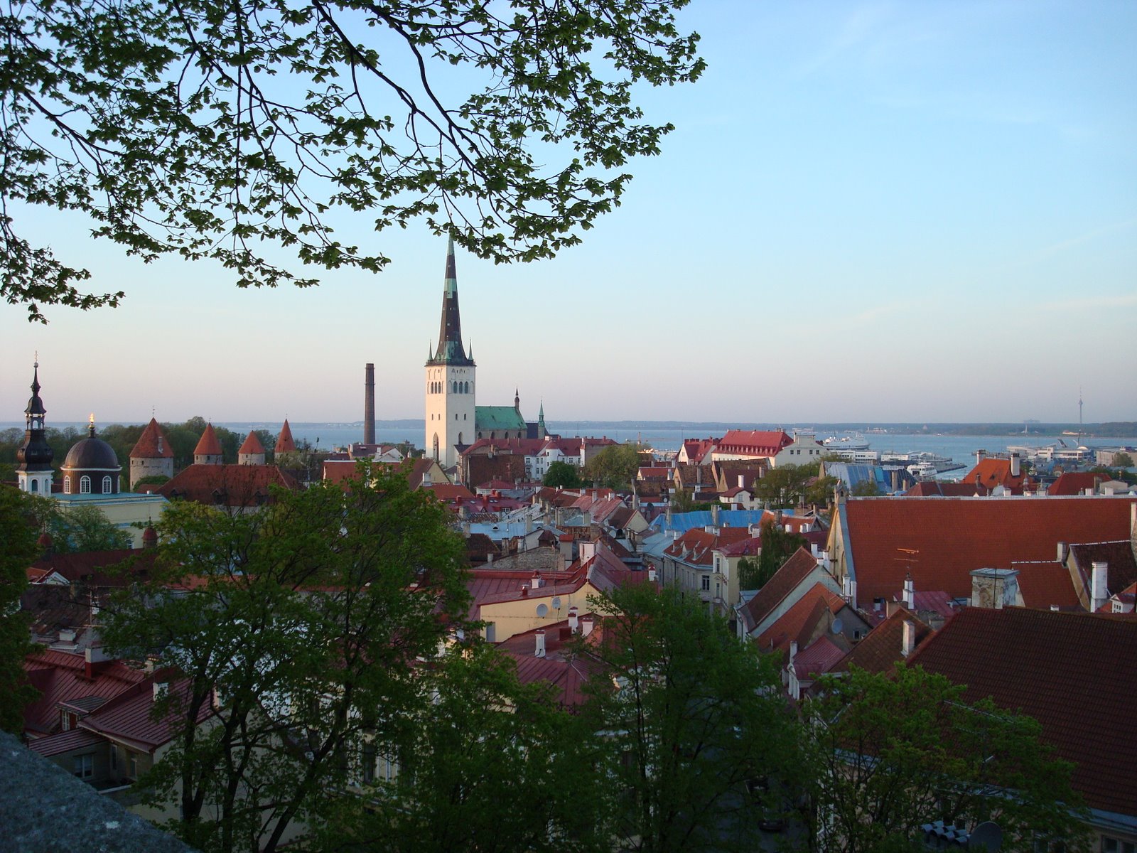 [DSC00211.JPG]