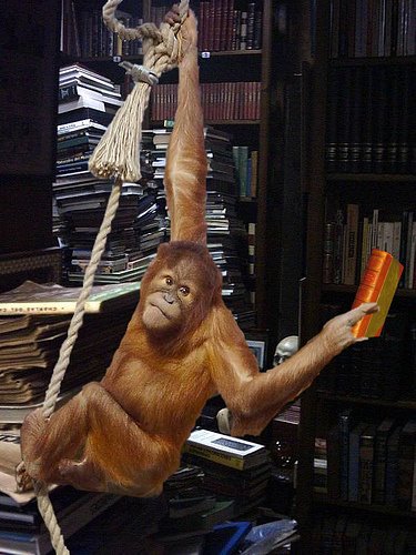 [macaco.jpg]