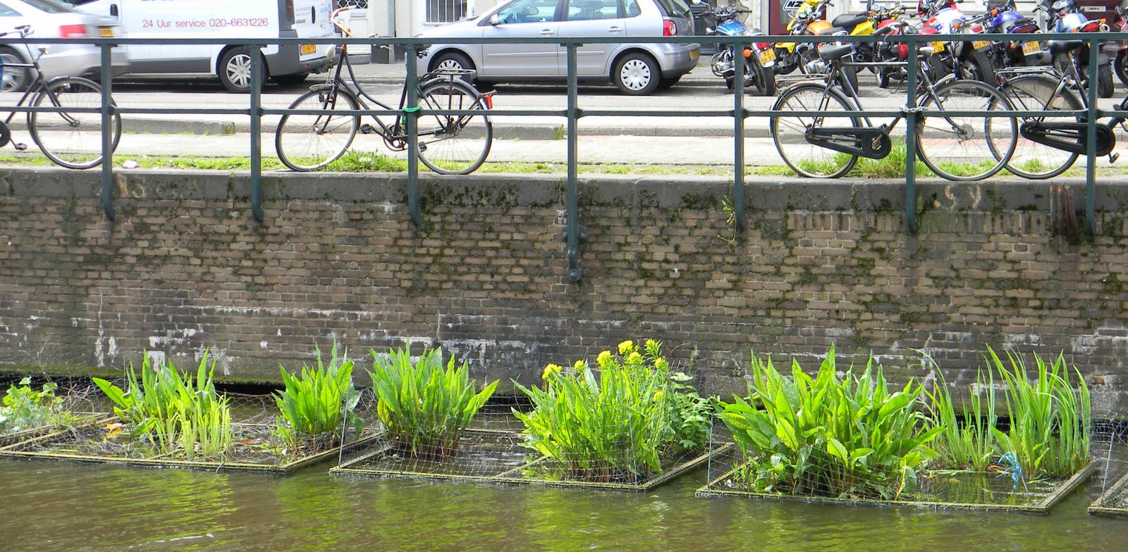 drijvende tuinen amsterdam analyseren watertuinen drijvende tuinen amsterdam analyseren watertuinen