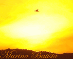 FLORIANÓPOLIS - Beira Mar Norte - Marina Batista
