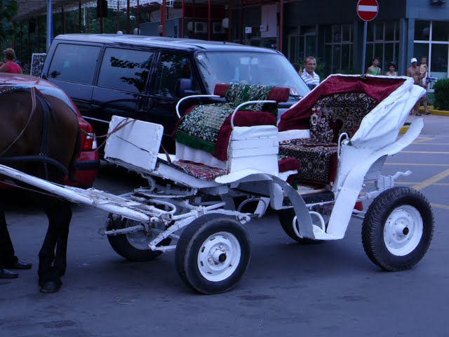 [P1100415.JPG]