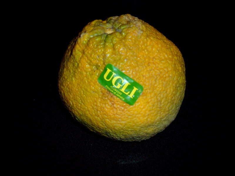 [DSCF2533.JPG]