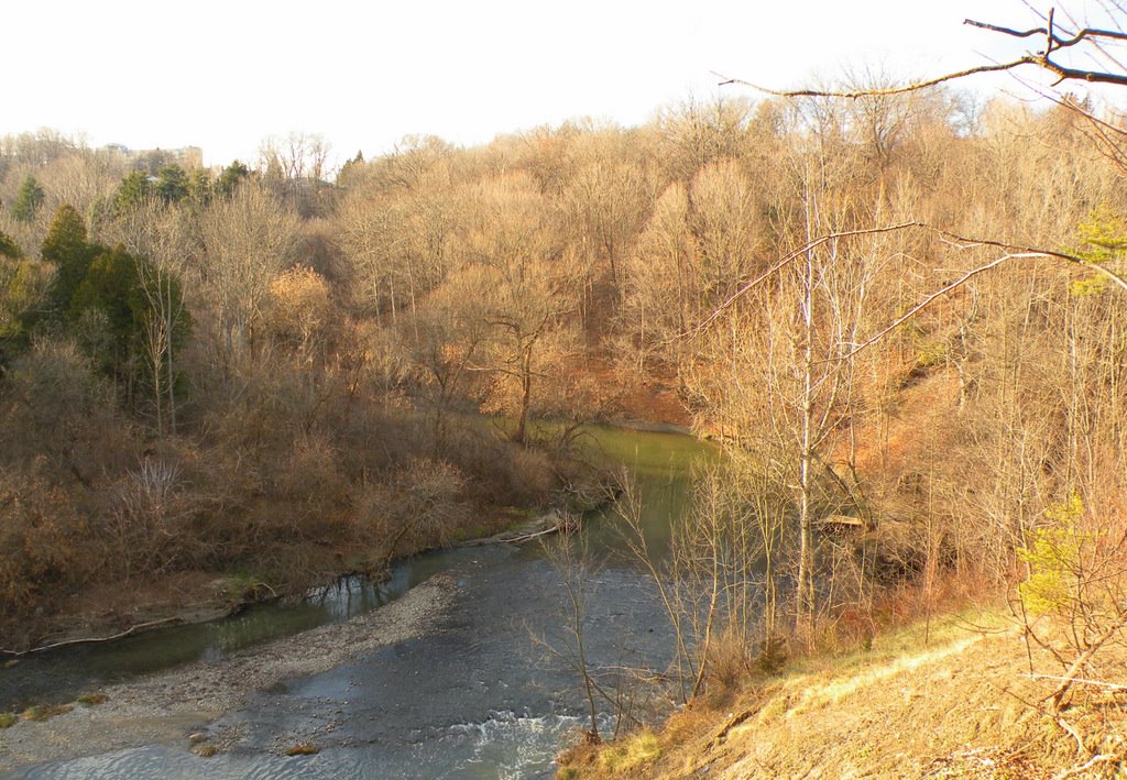 [DSCN0360.JPG]