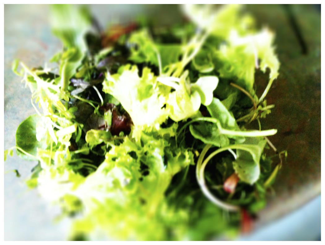 Toast Salmon and Asparagus Salad with a Agave Lime Vinaigrette