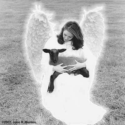 [angel_lamb.jpg]