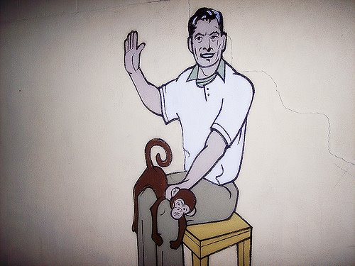 [2234992576_cbb1c95d76.jpg]