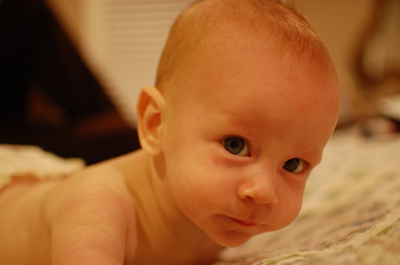 [DSC_1059.JPG]