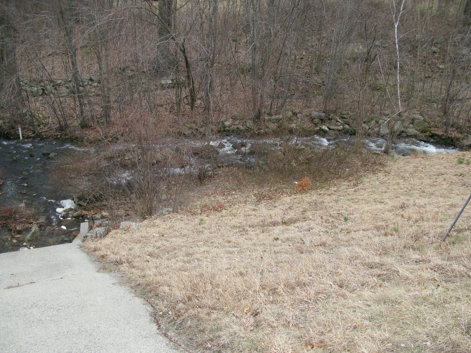 [IMG_3704.JPG]