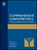 Comprehensive Chemometrics - Click on the cover to learn more ...