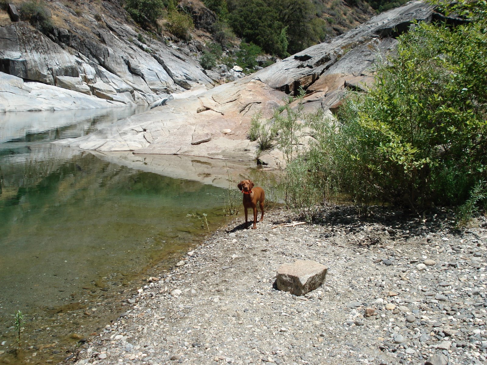 [Cindy+and+the+dogs+on+the+Yuba+River+034.jpg]