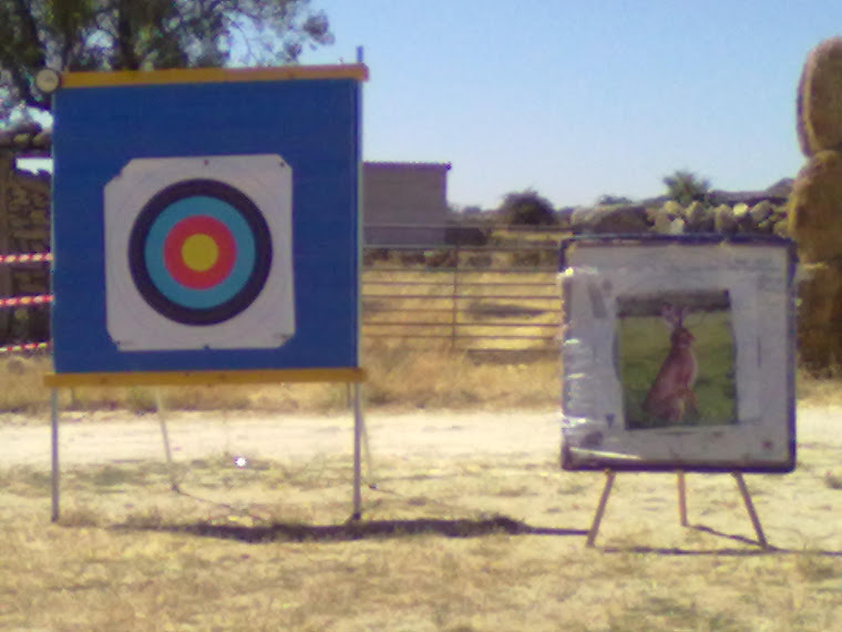 Se organizan concursos y exibiciones regionales de tiro al arco