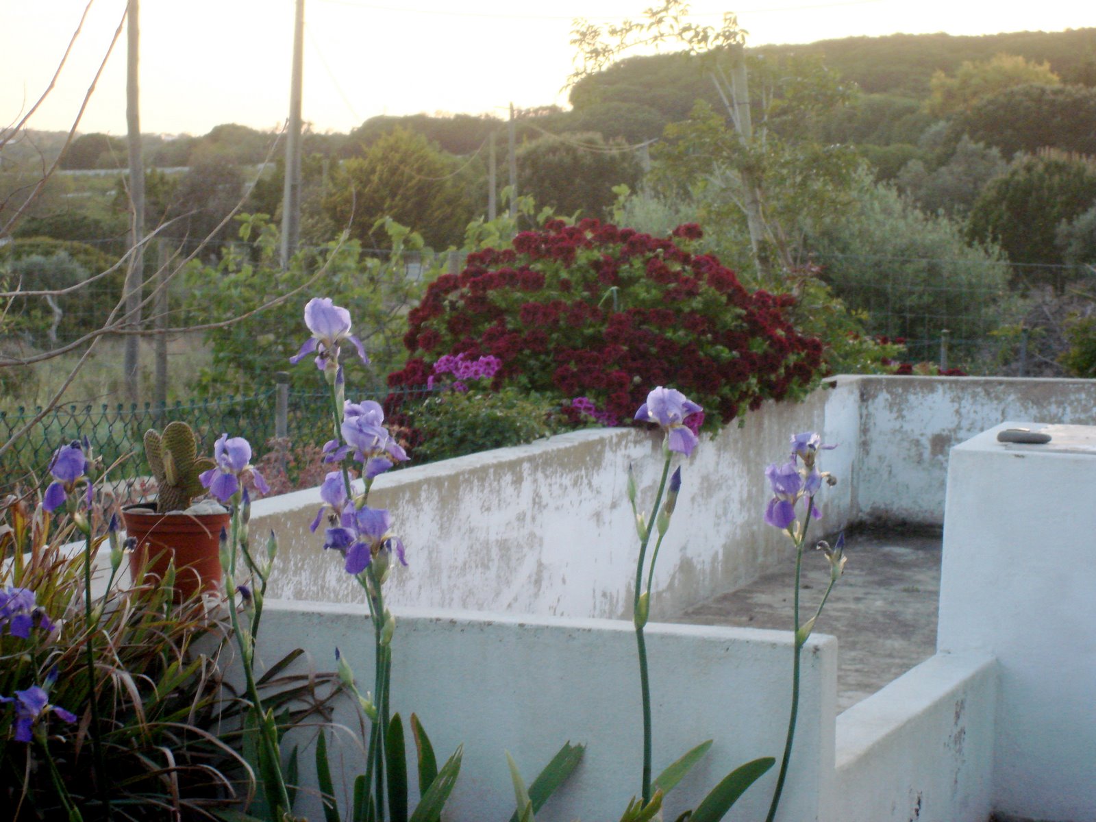 [DSC02024.JPG]