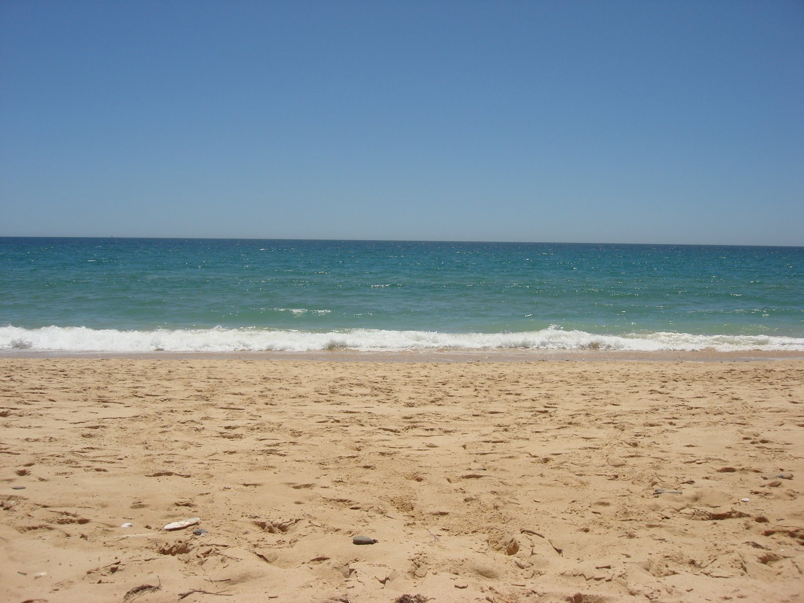 [DSC02486.JPG]