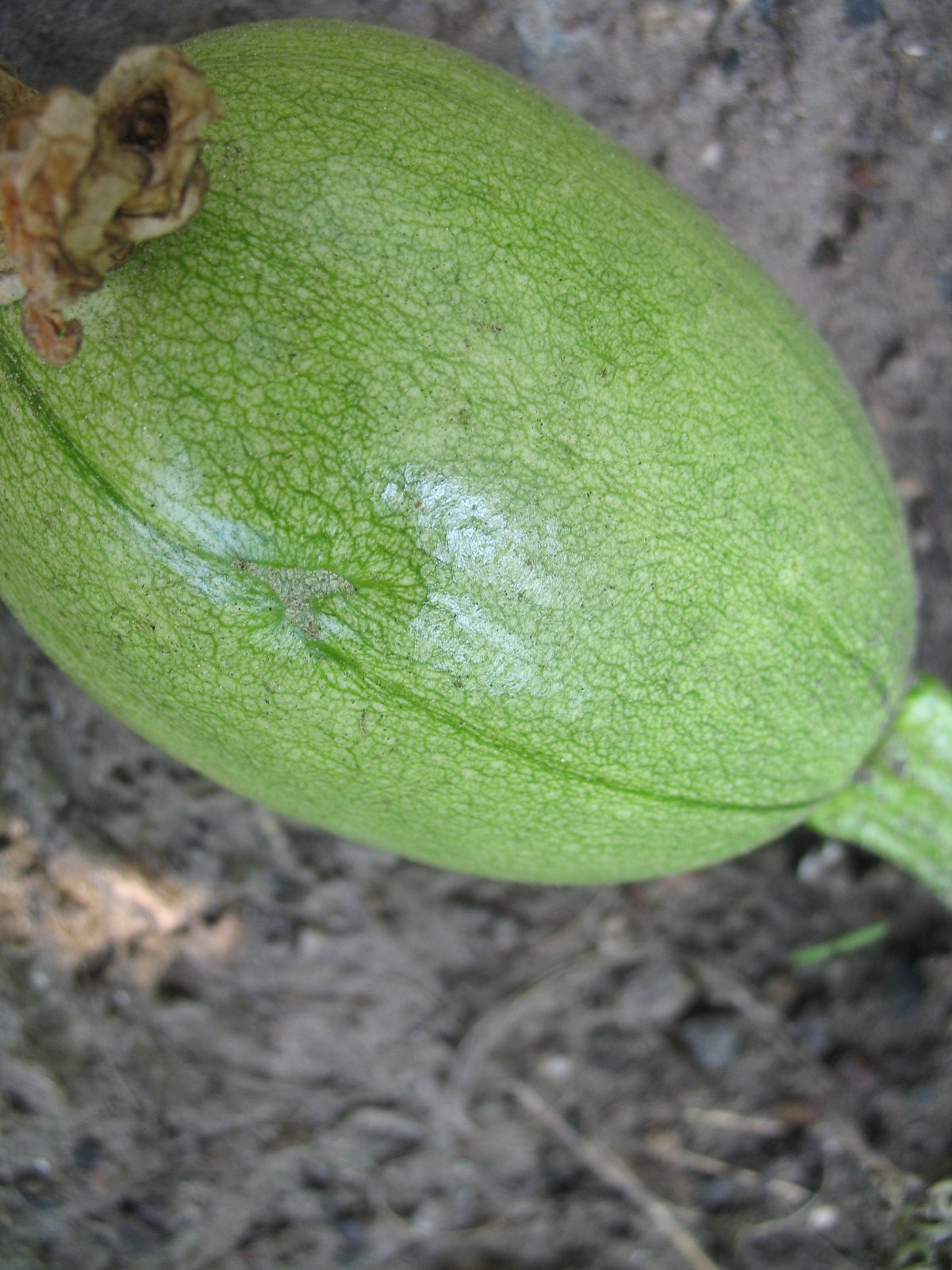 [camera082208+010.jpg]