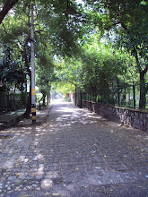 road around the park