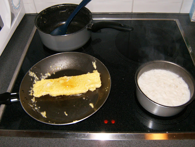 A prova de que fiz uma omelet du fromage