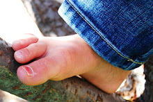 Tree Climbing