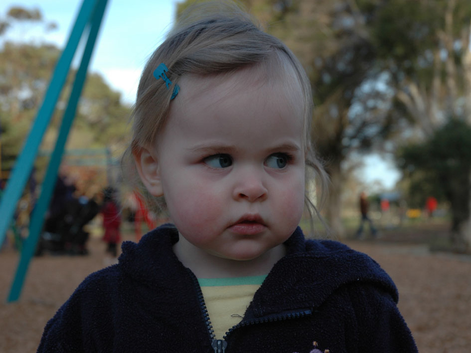 [DSC_4497small.jpg]