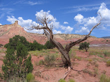 Ghost Ranch, NM