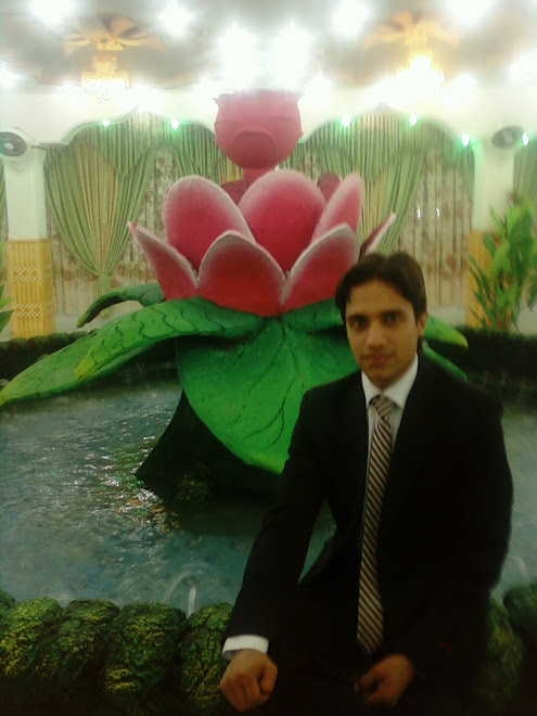 Paiwand Qalbha, Kabul, May 2010