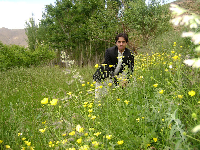 Paghman, Kabul, June 2010