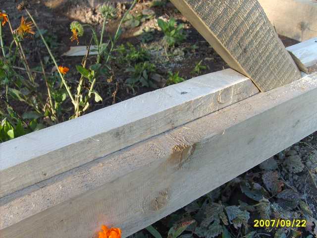 [Image00008.jpg]