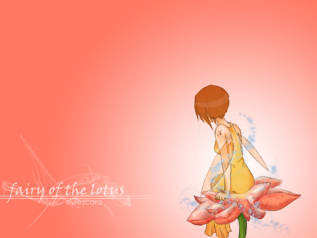 Pic New Posts Wallpaper Bunga Teratai Pic New Posts Wallpaper Bunga Teratai
