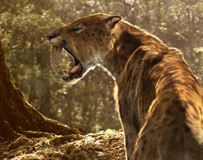 Sabertooth+Tiger+vs+Bear biobabbler: "Why you should never arm wrestle a saber-toothed-tiger"