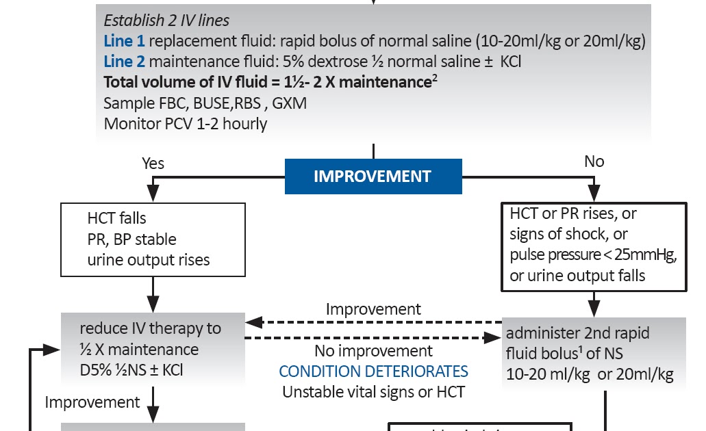 Paediatric Infectious Disease Fluid Management in Paediatric Dengue
