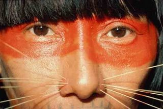 [indio-amazonico-G.jpg]