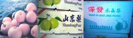 Pear YALI/Lai - 17Kg || Shandong Pear - 10Kg