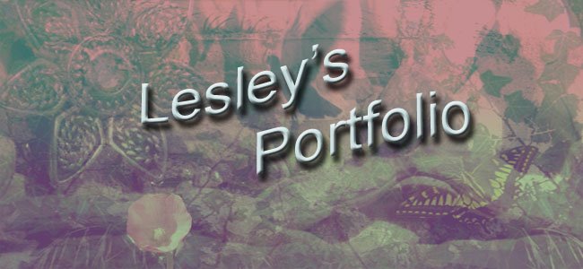 Lesley's Portfolio