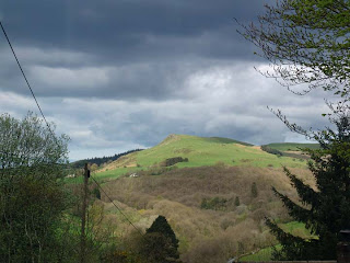 The view from the guest bedroom