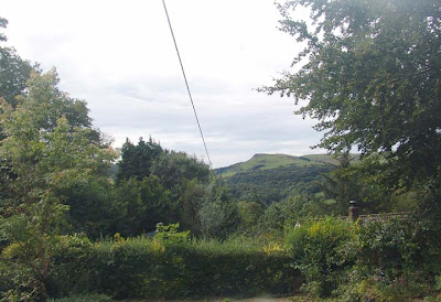 the lush summer view