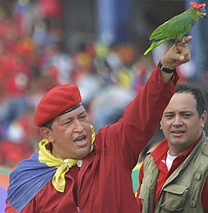 chavez_parrot.jpg